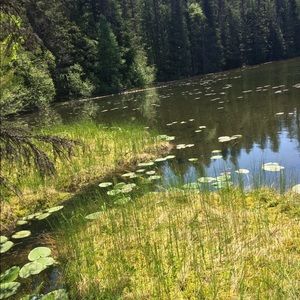 Meet your Posher, Wesly